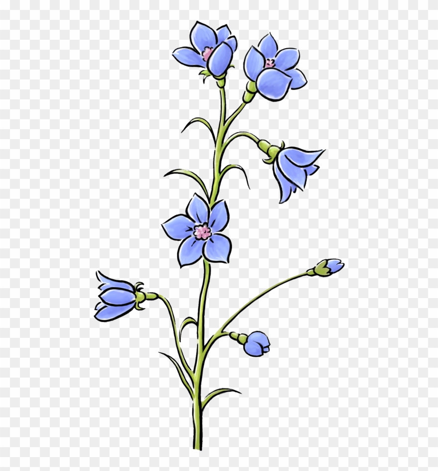 Great Und Noch Ein Tipp Flache Blumen Wie Veilchen - Blüten Clipart Transparent - Png Download