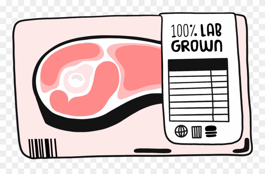 Lab Clipart Stem - Png Download