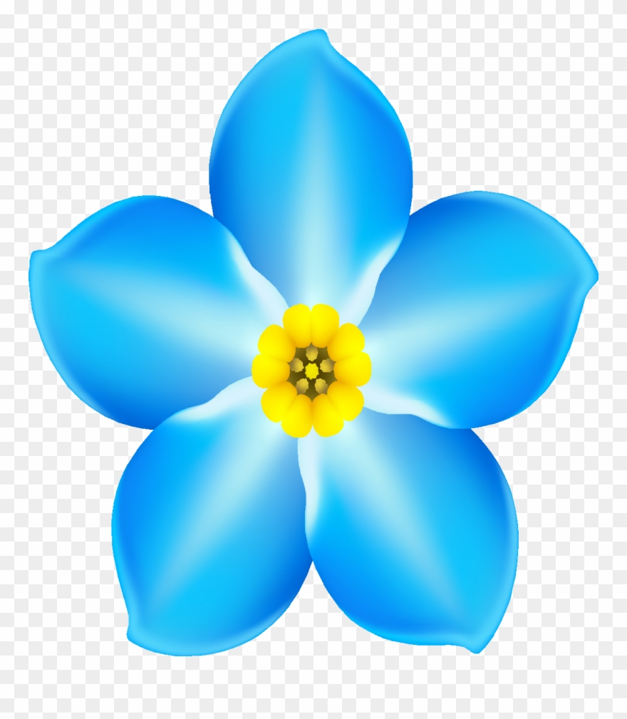 Forget Me Not Cafe Clip Art - Forget Me Not Dementia - Png Download