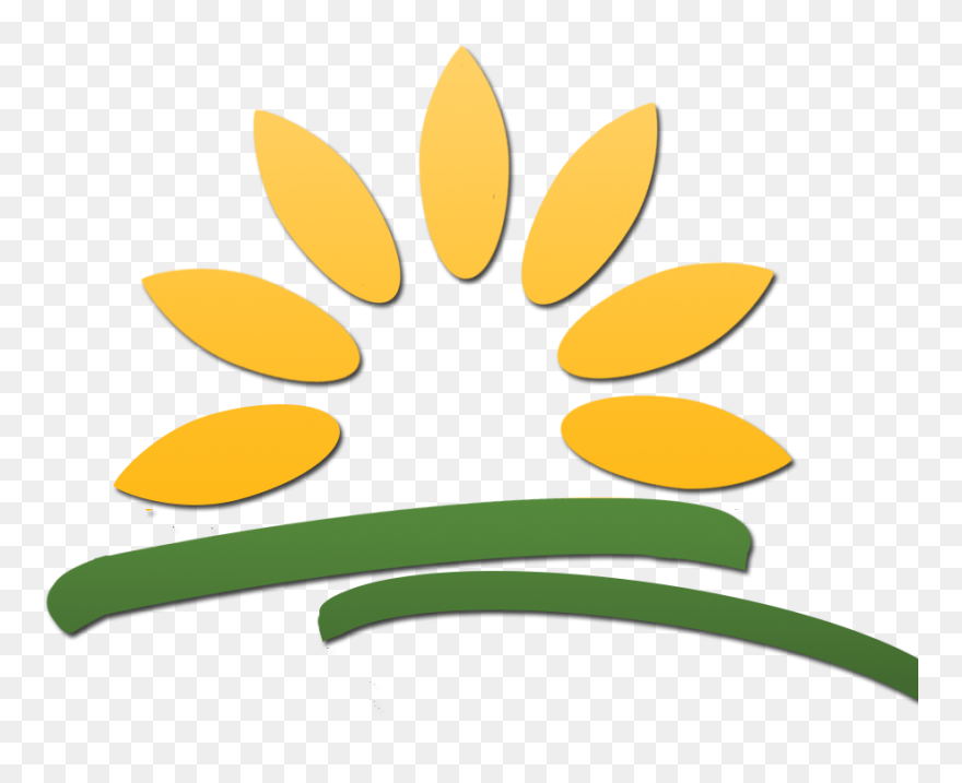 Let's Not Try Finding Nemo Let's Try Finding Funds Clipart