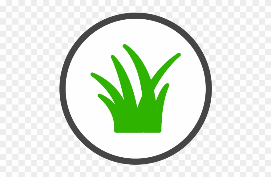 Lawn Care Orlando Buguglies Control St Treatment - Discrimination Is Bad Clipart