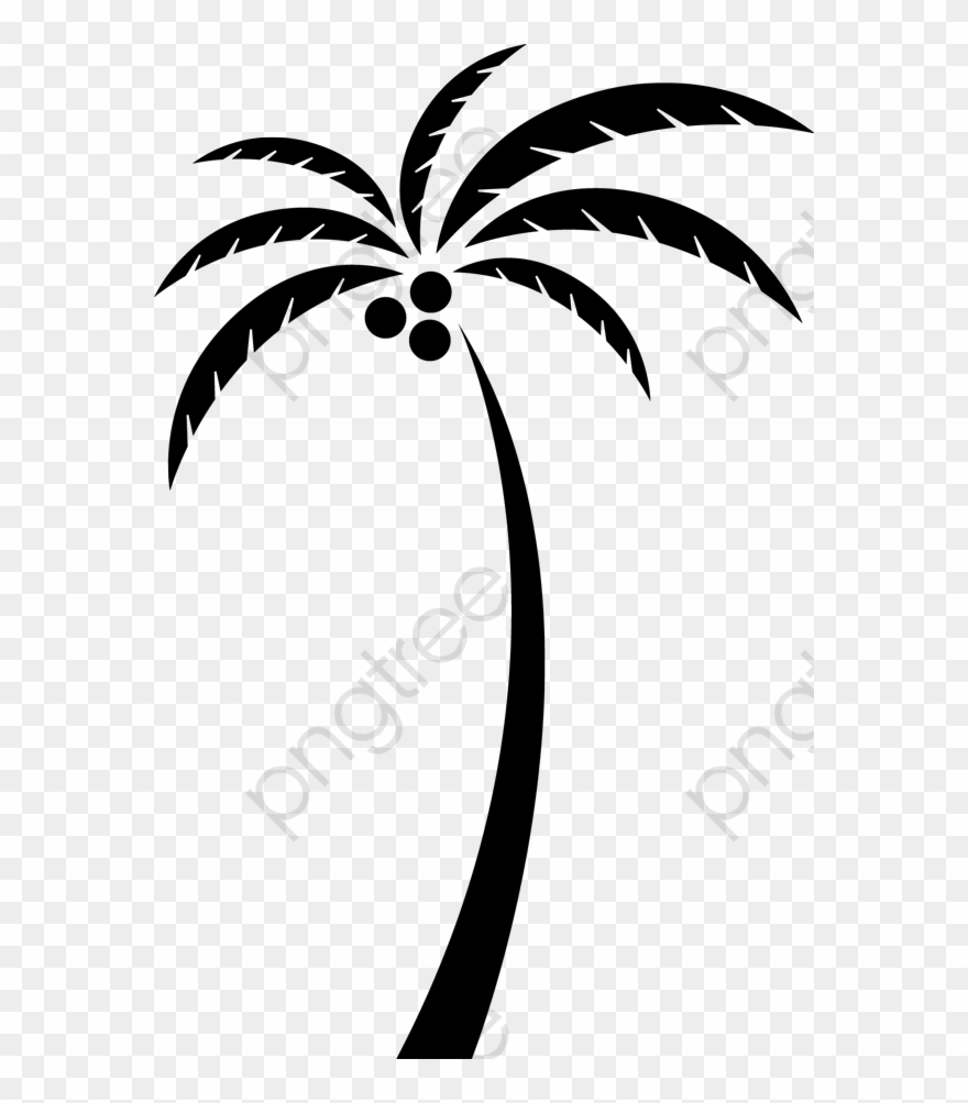 Coconut Tree Silhouette, Tree Clipart, Coconut Clipart, - Coconut Tree Vector Png Transparent Png