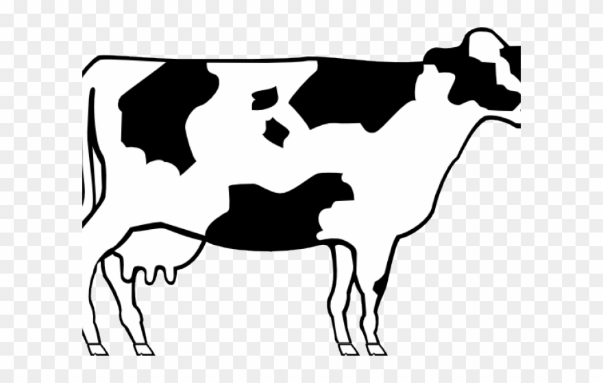 Yoko Milk Spa Salt 300 G. Clipart