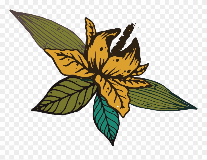 Huarui Caricature Vecteur Jaune - Flower Clipart