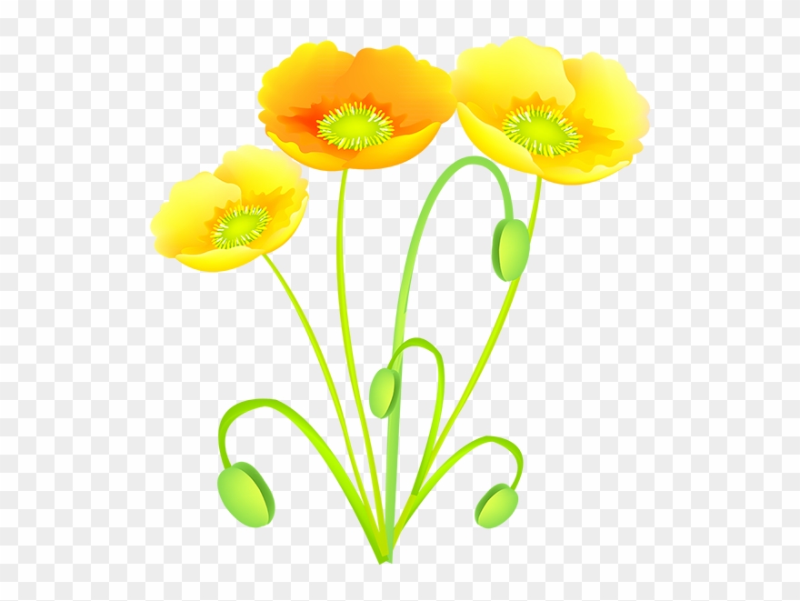 Tubes Fleurs - Spring Clipart