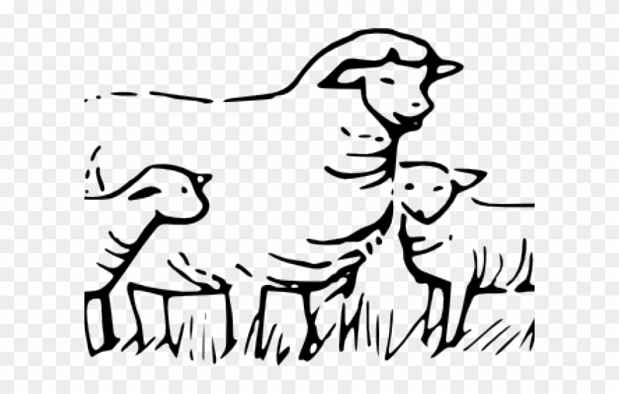 Clipart Black And White Sheep - Png Download