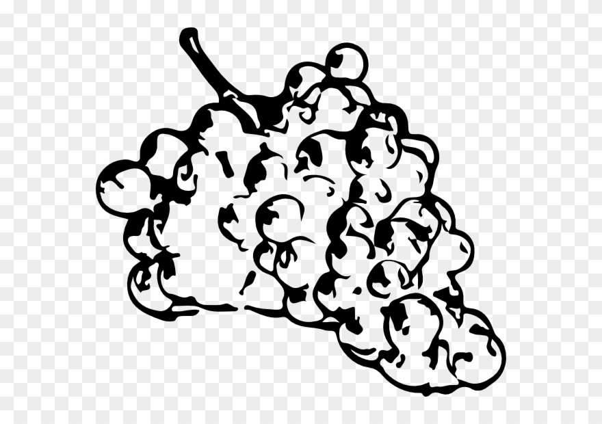 Grapevine Vector Black And White Clipart Black And - Grape - Png Download
