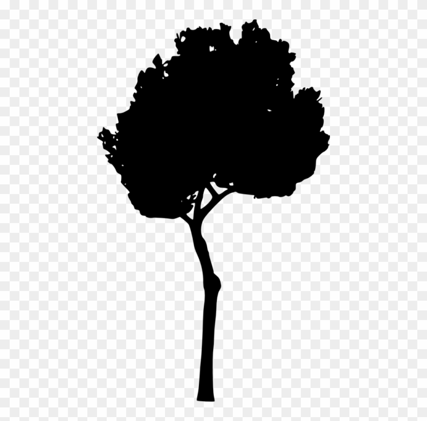 Tree Silhouette Png - Tree Clipart