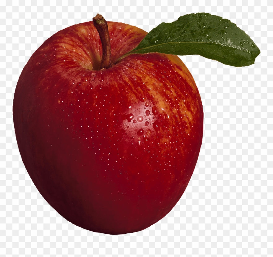 Apple Fruit Images Transparent - Apple Png Clipart