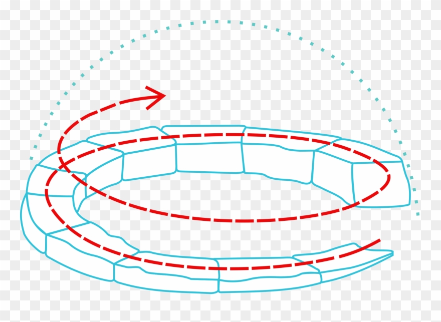 File - Igloo Spirale - Svg - Wikimedia Commons - Inside Inuit Igloo Clipart