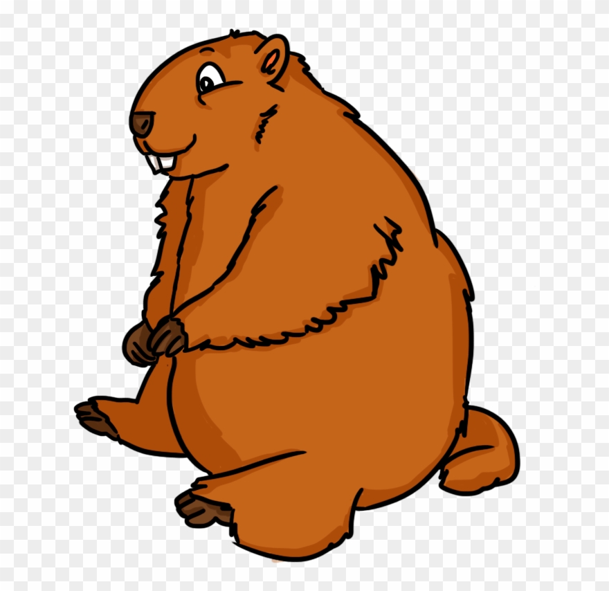 Groundhog Clipart Png Transparent Png