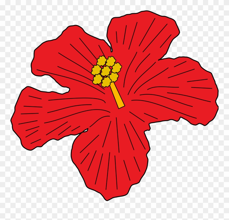 More From My Site - Hawaiian Hibiscus Clipart