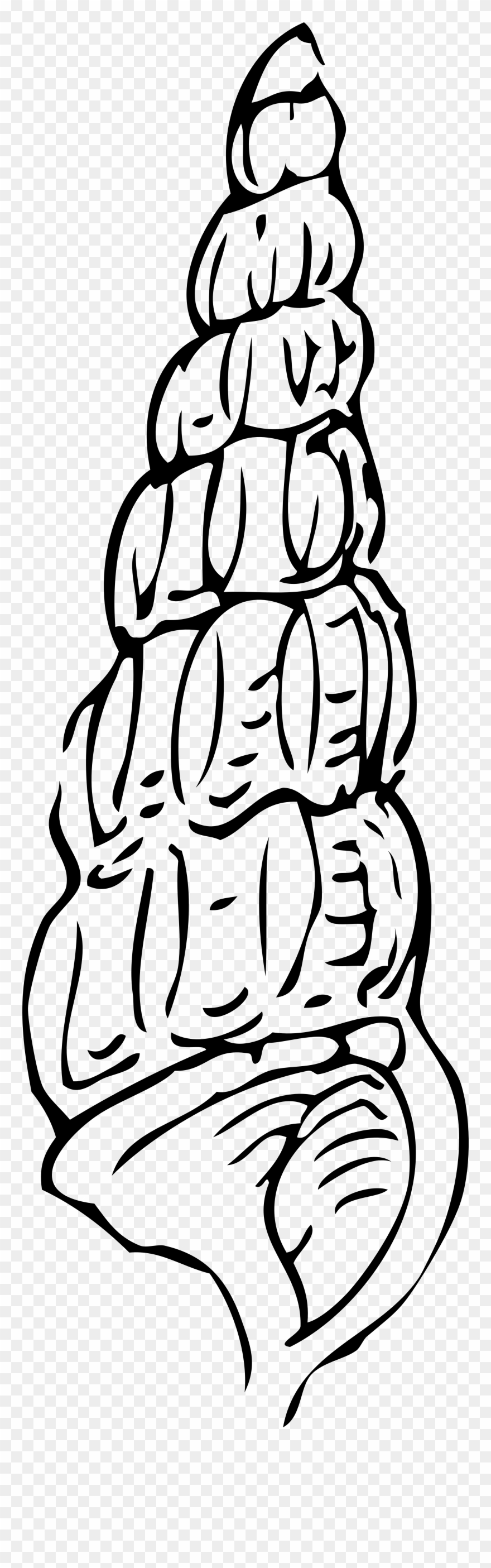 Seashell Graphics - Clipart Best - Simple Sea Shell Black And White - Png Download