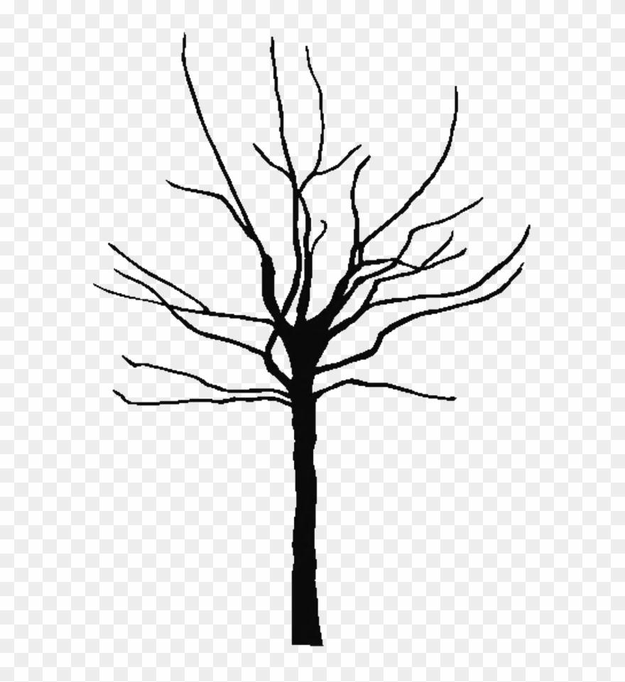 Tree Outline Printable Clipart Best 143849 Free Coloring - Tree Silhouette Icon Vector - Png Download