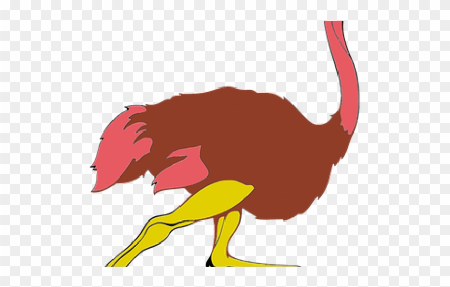 Ostrich Clipart Gambar - Clip Art - Png Download