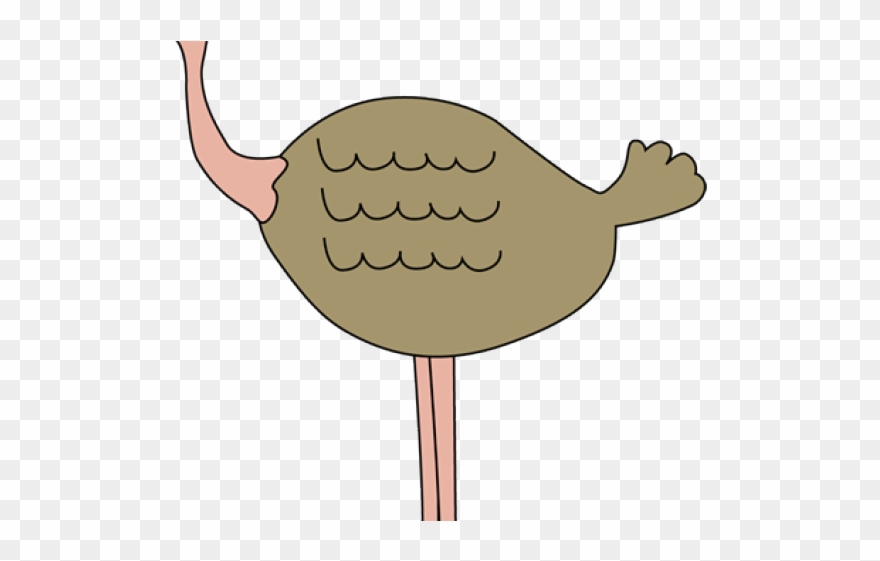 Emu Clipart Ostrich - Afrolems - Png Download