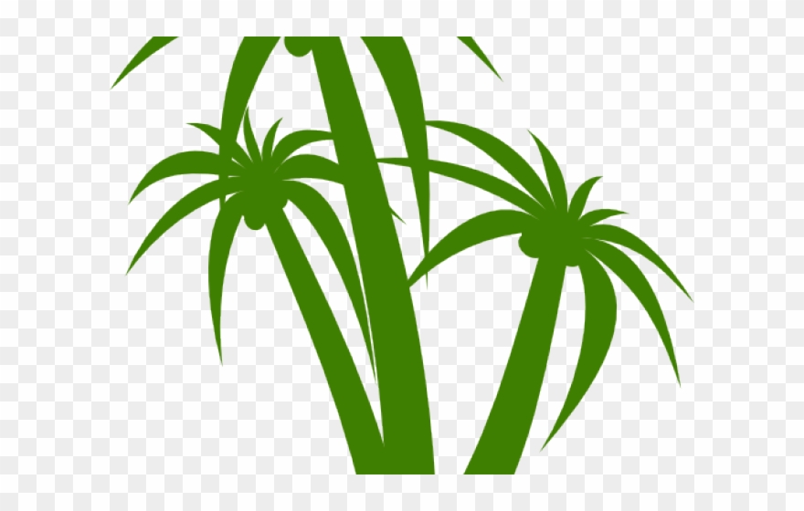 Palm Tree Clipart Green - Palm Tree Clip Art - Png Download