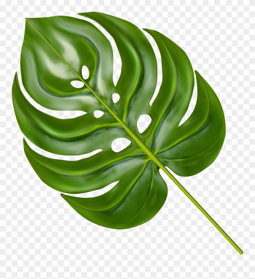 Portable Network Graphics Clipart