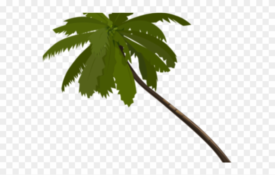 Palm Tree Clipart Royalty Free - Animated Palm Trees Png Transparent Png