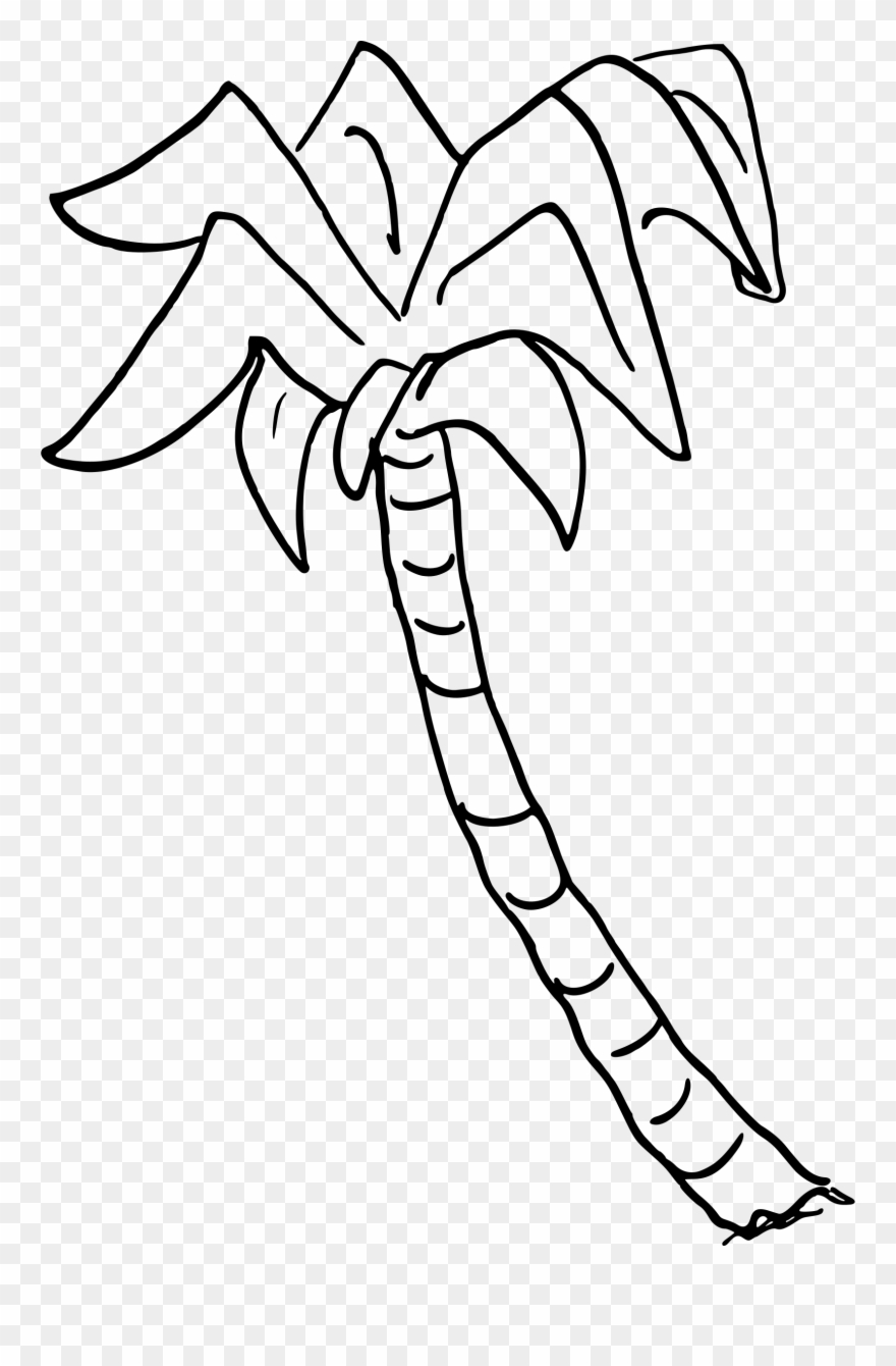 Clipart - Drawing Of Palm Tree In Png Transparent Png