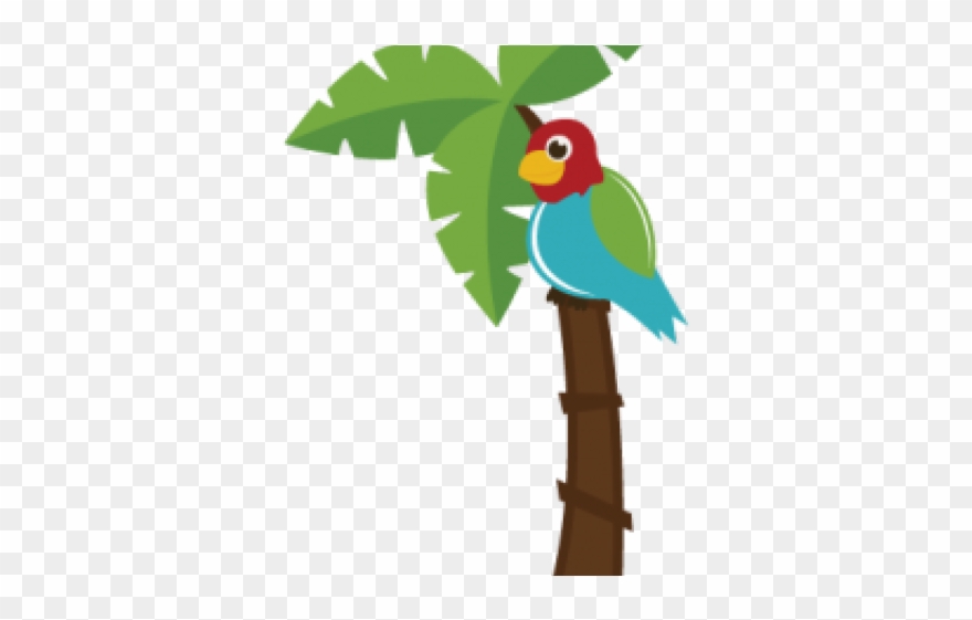 Palm Tree Clipart Parrot - Clip Art - Png Download