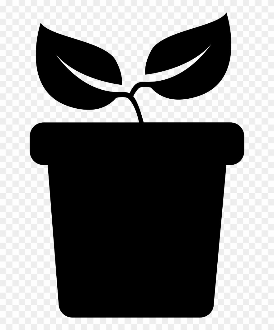Flash Clipart Side View - Plant On Side Png Transparent Png