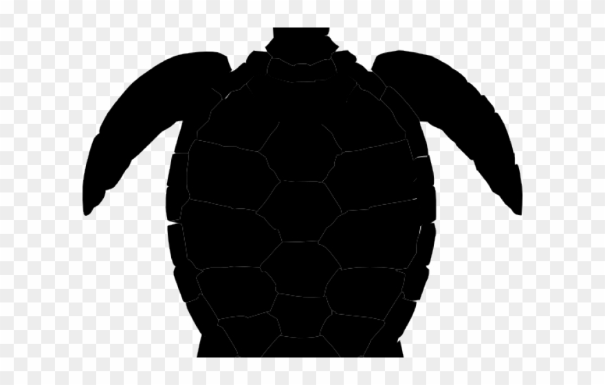 French Clipart Turtle - Sea Turtles Clip Art - Png Download