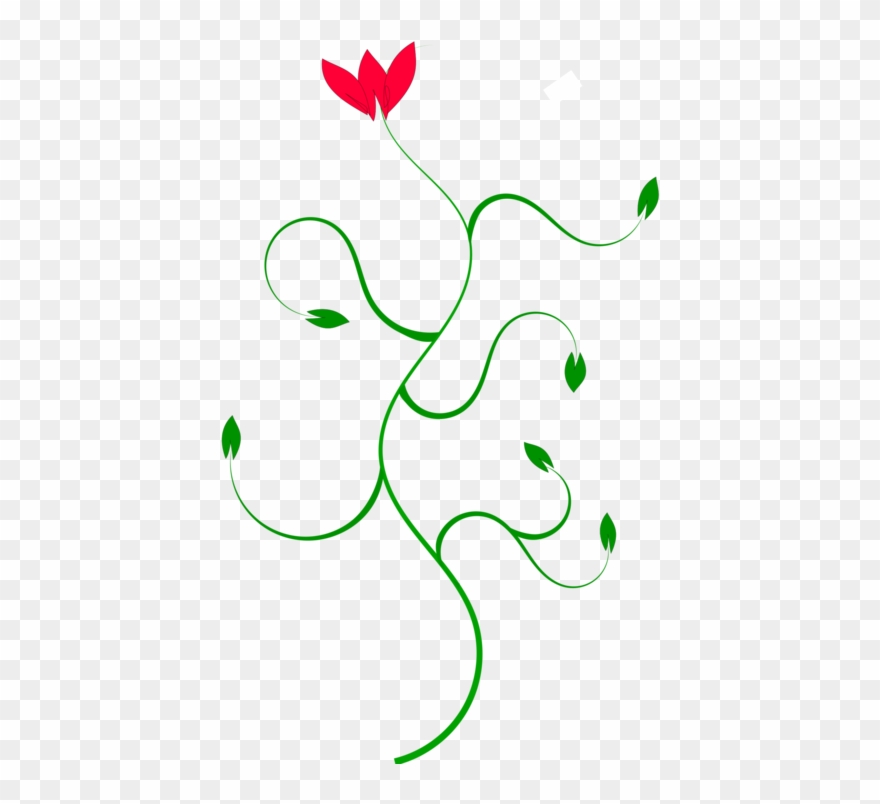 Petal Curve Flower Line Plant Stem - Courbe Fleur Clipart