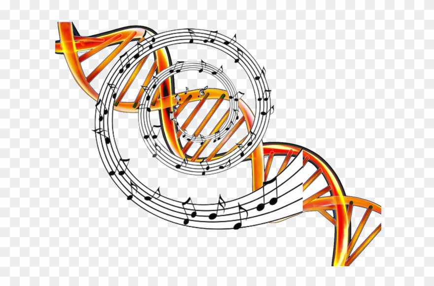 Golden Ratio And Music In The Dna Geometrie, Bilder, - Novelty Personalised Trumpet & Musical Notes 7.5" Clipart