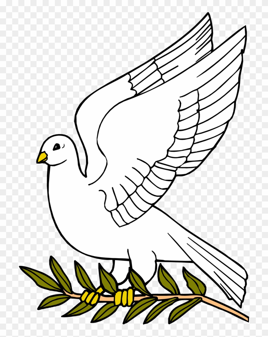 The Conflict In Gaza In A Nutshell - Dove With Olive Leaf Clipart