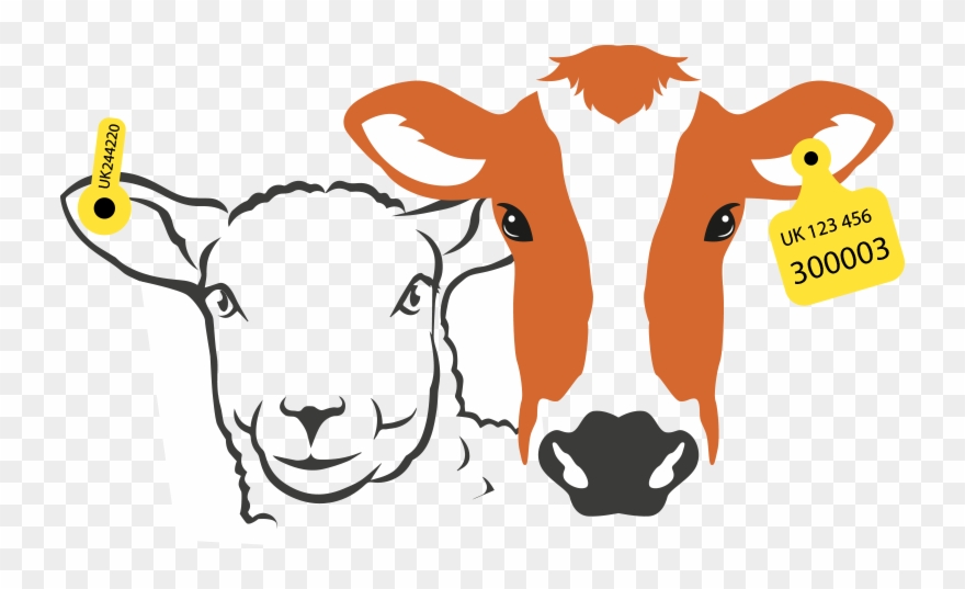 Clip Tag Cattle - Öküz Kafası - Png Download