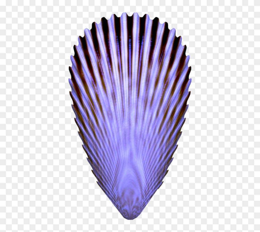 This One Has A Lovely Shade Of Purple - Clip Art - Png Download