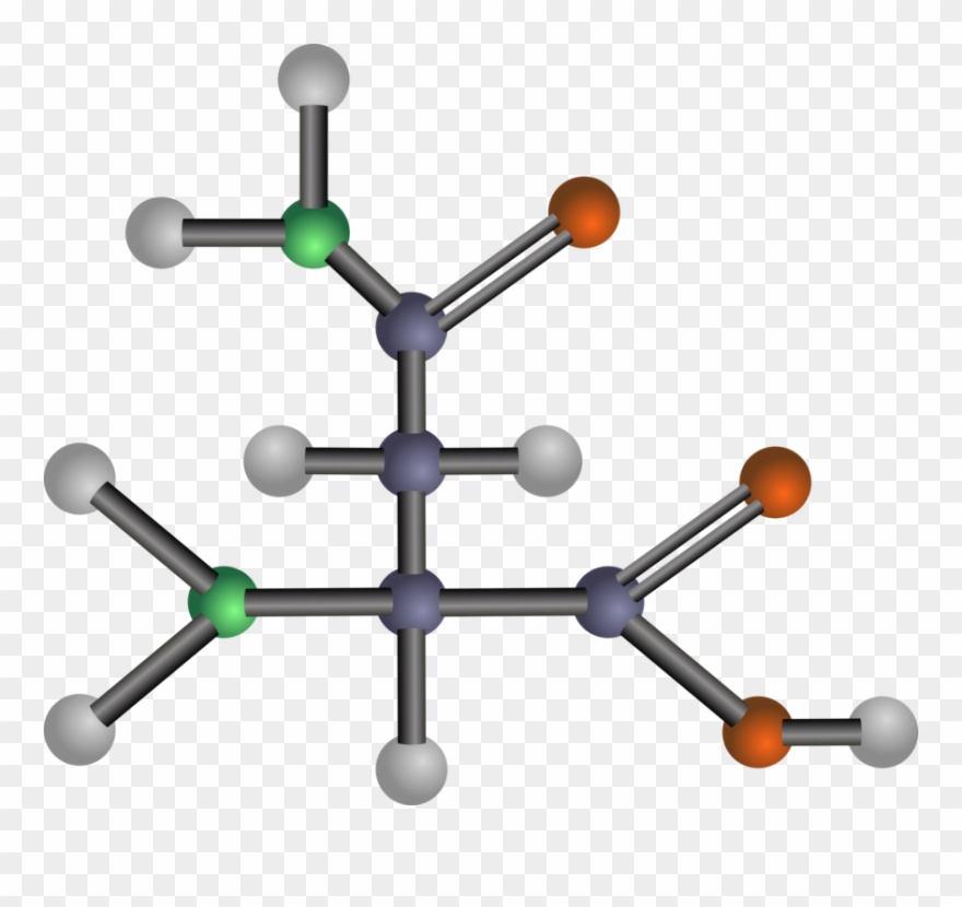 Free Asparagine - Amino Acids: Biochemistry And Applications Clipart