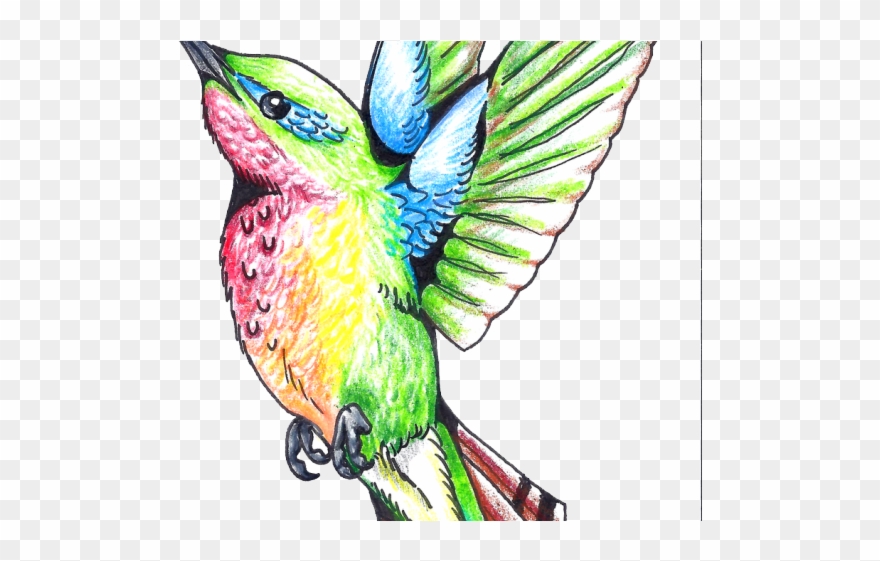 Gothic Tattoos Clipart Hummingbird - Tattoos A Colores Png Transparent Png