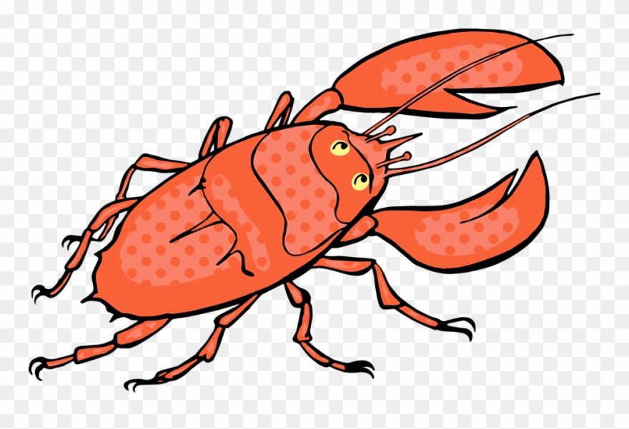 Picture Freeuse Library Crawfish Clipart Lobster Dinner - Shellfish Clipart - Png Download