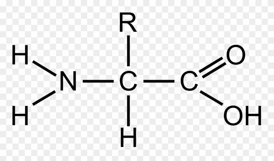 Arginine - Amino Acid Clipart