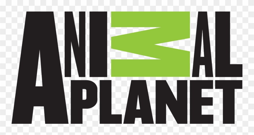 C74rsnw1clvilzg4igzl - - Animal Planet Channel Logo Clipart