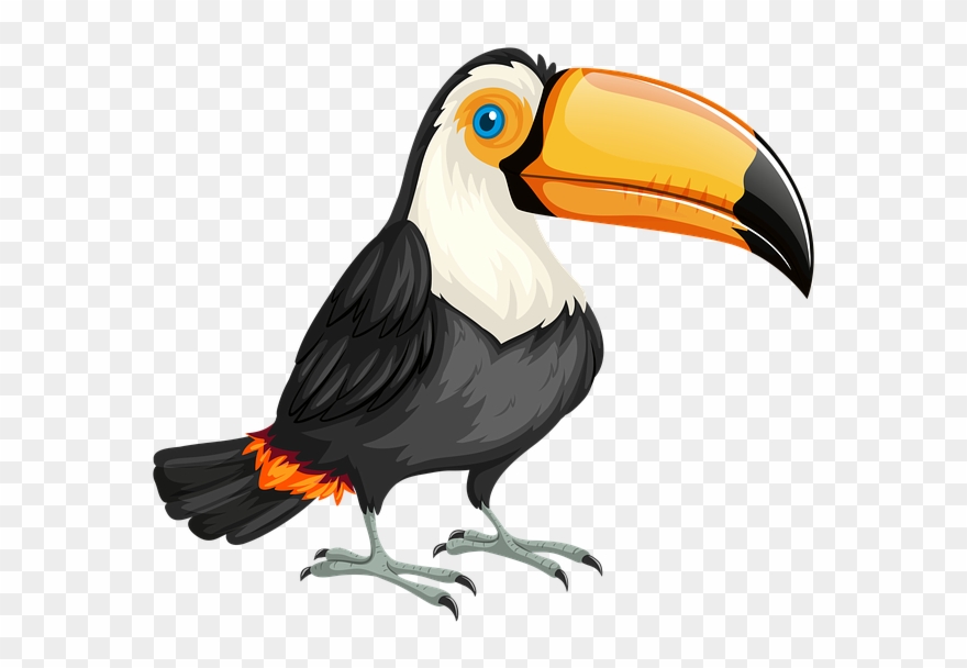 Download Transparent Png - Toucan Clipart