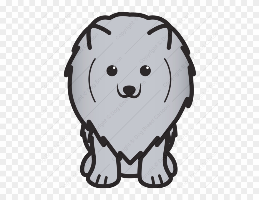 Pomeranian Png - Pomeranian Clipart
