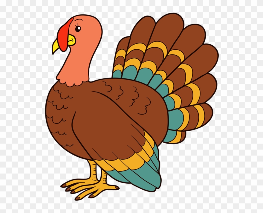 Shadow Of A Turkey Clipart