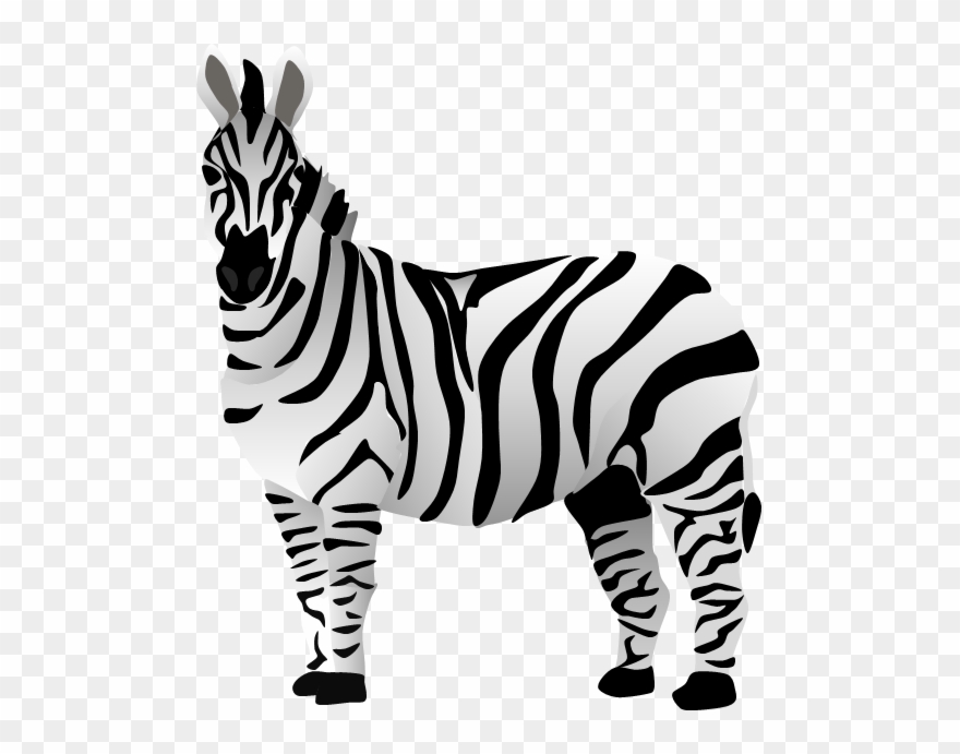 The Zt2 Round Table - Zebra Clipart