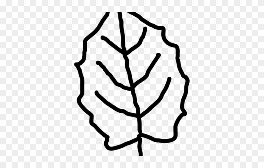 Leaf Outline - Leaf Template Transparent Clipart