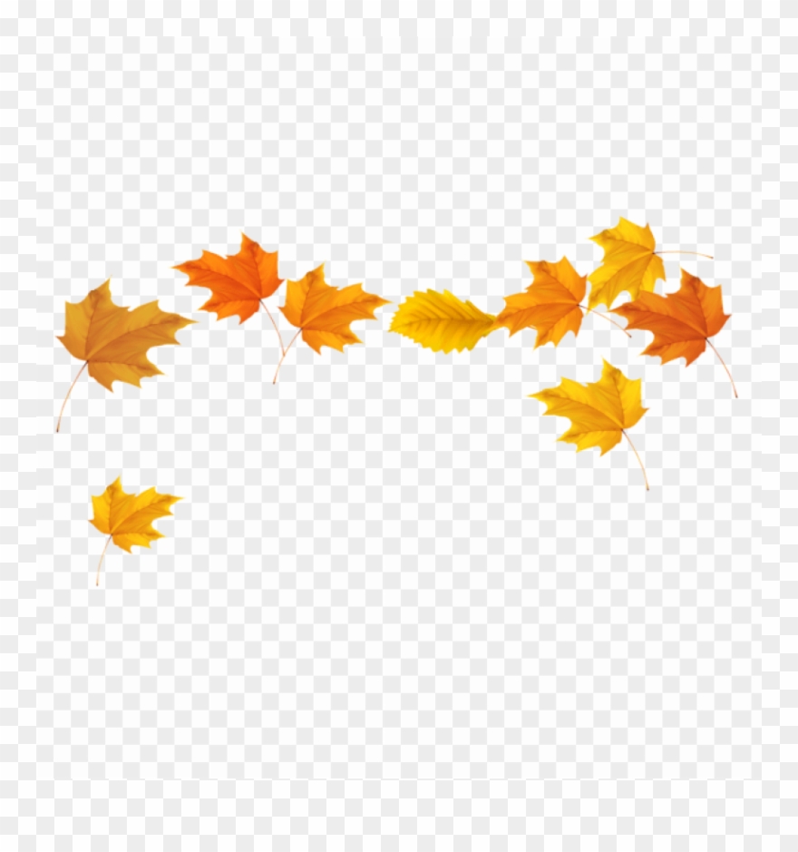 Free Png Download Fall Leaves Picture Clipart Png Photo - Fall Leaves Transparent Background