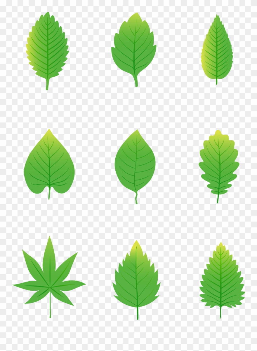 Simplicity Cartoon Green Leaves Elements Png And Vector - Dessin Feuille Verte Clipart