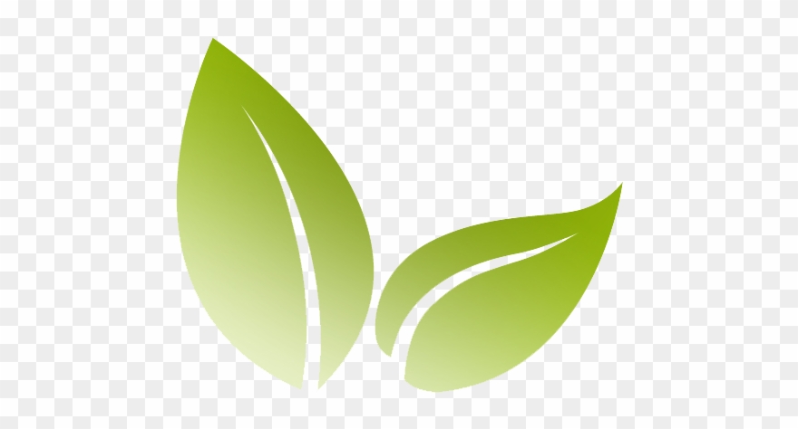 564 X 564 Png 84kb - Transparent Eco Logo Clipart