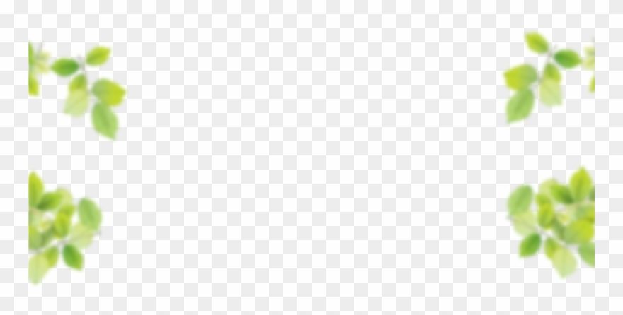 White Background With Leaves Border Png - High Resolution Leaves Png Clipart