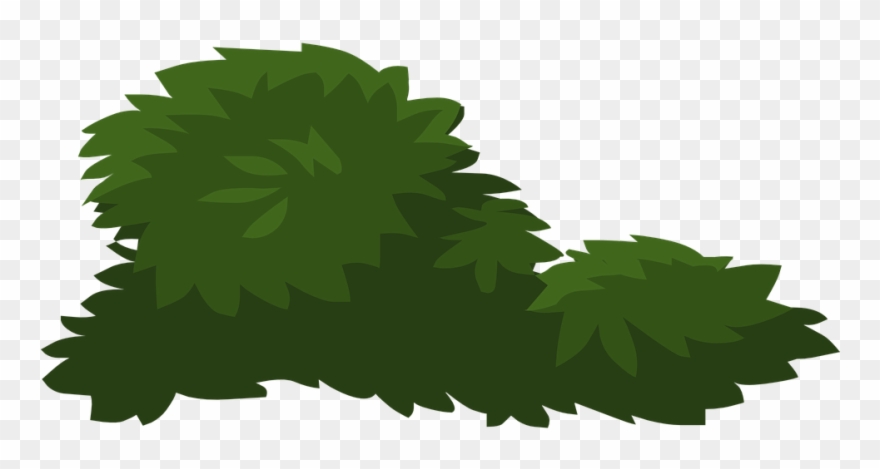 Jungle Plants Cliparts 11, - Flowers Plant Vector Png Transparent Png