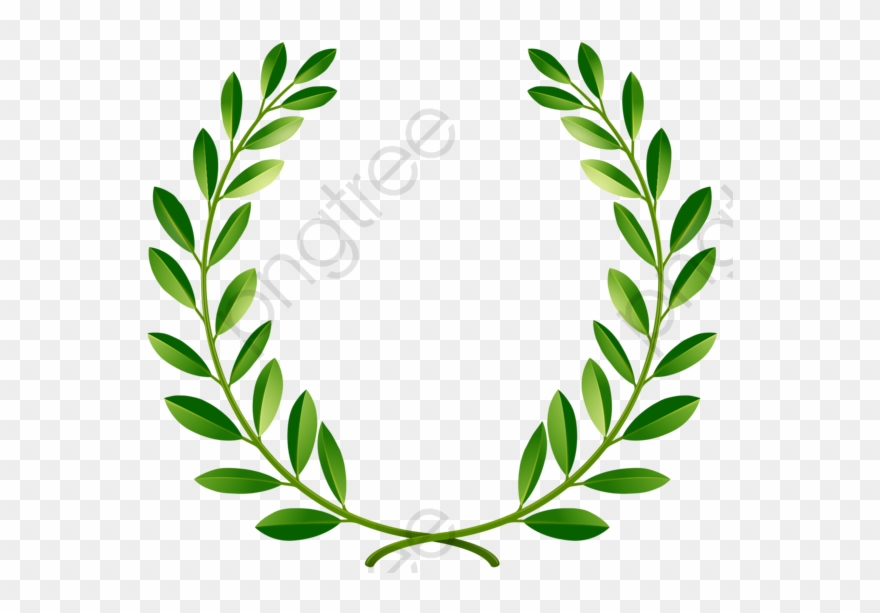 Greenpeace Olive Branch - Green Laurel Wreath Png Clipart