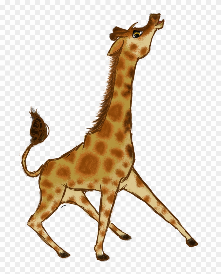 Giraffe , Png Download - Giraffe Clipart