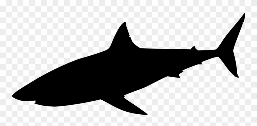 Silhouette Requin Png - Shark Silhouette Png Clipart